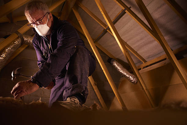 Best Commercial Insulation in Mountain Lakes, NJ
